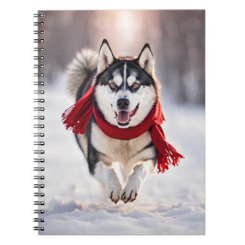 Husky Wearing A Red Winter Scarf Notebook