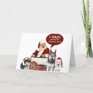 Husky What Don't You Understand About Good Holiday Card