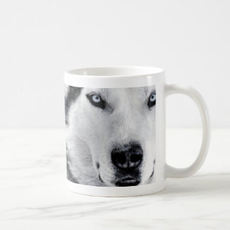 huskys coffee mug