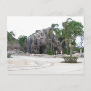 Hut in Mexico Postcard