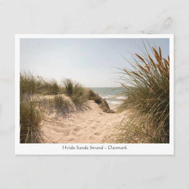 Hvide Sande Denmark Postcard (Front)