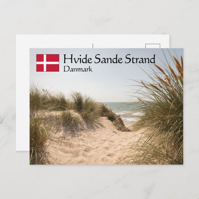 Hvide Sande Denmark Postcard (Front/Back)