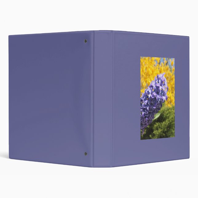 Hyacinth and Forsythia Binder (Background)