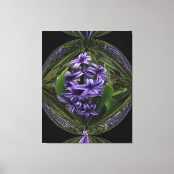 Hyacinth  Candy Canvas Print by artinphotography at Zazzle