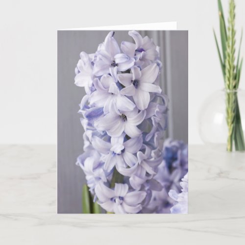 Hyacinth Card