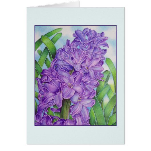 Hyacinth Cards (Front)