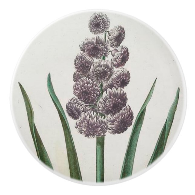 Hyacinth Ceramic Knob (Front)