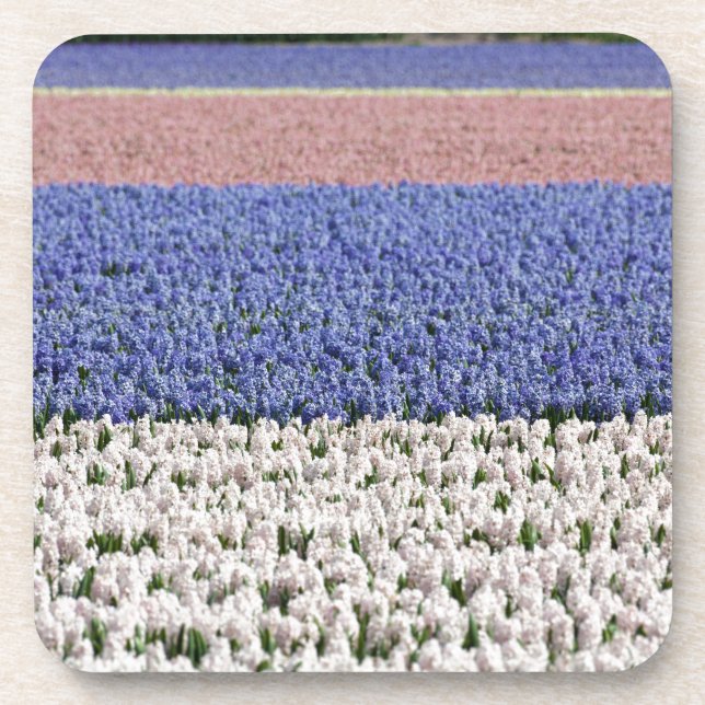 Hyacinth Field Drink Coaster (Front)