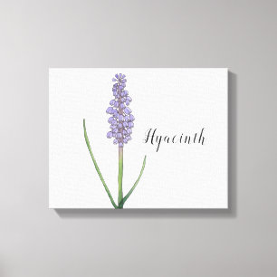 Hyacinth Flower Watercolor Canvas Print