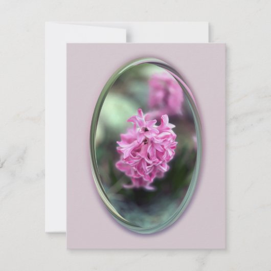 Hyacinth in spring (Front)