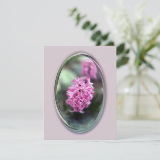 Hyacinth in spring (Standing Front)