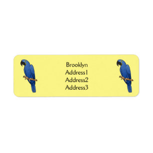 Hyacinth macaw bird cartoon illustration  label