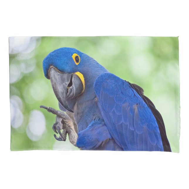 Hyacinth Macaw Bird Pillow Case (Front)