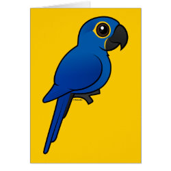 Customizable Hyacinth Macaw Note Card
