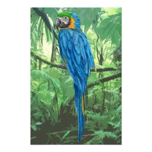 Hyacinth Macaw Design Photo Enlargement