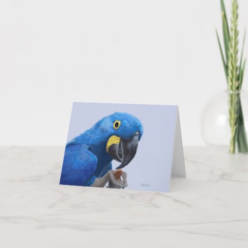 Hyacinth Macaw Encouragement JW Thank You Card