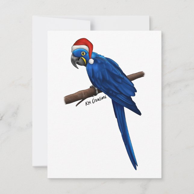 Hyacinth macaw - holiday card (Front)
