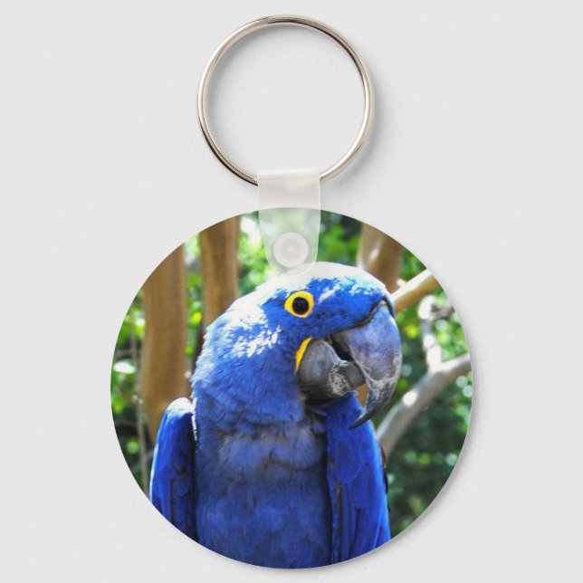 Hyacinth Macaw Keychain (Front)