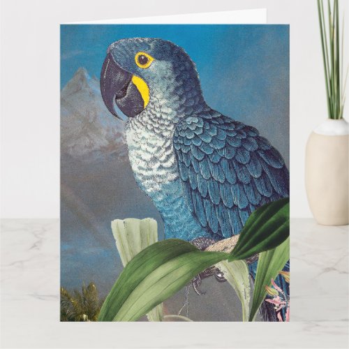 Hyacinth Macaw Parrot Bird Happy Birthday Big Card