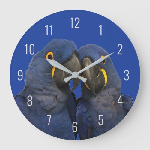 Hyacinth Macaw Parrot Bird Rare Blue Large Clock