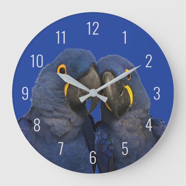 Hyacinth Macaw Parrot Bird Rare Blue Large Clock (Front)