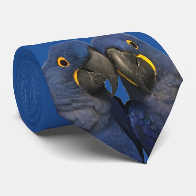 Hyacinth Macaw Parrot Bird Rare Blue Neck Tie (Rolled)