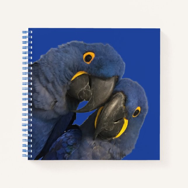 Hyacinth Macaw Parrot Bird Rare Blue Notebook (Front)