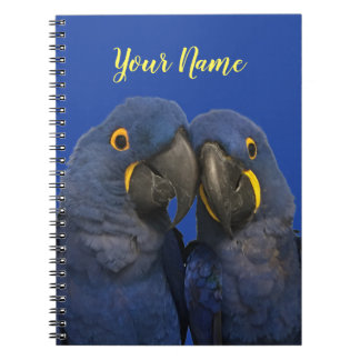 Hyacinth Macaw Parrot Bird Rare Blue Notebook