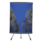 Hyacinth Macaw Parrot Bird Rare Blue Tripod Lamp (Front)
