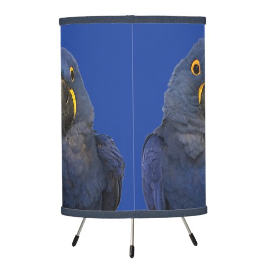 Hyacinth Macaw Parrot Bird Rare Blue Tripod Lamp (Back)