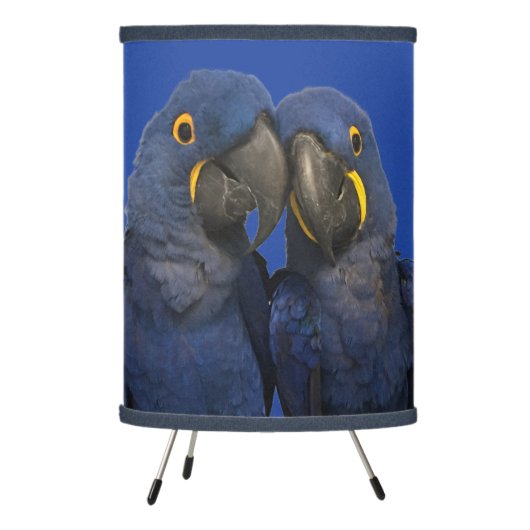 Hyacinth Macaw Parrot Bird Rare Blue Tripod Lamp (Left)