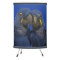 Hyacinth Macaw Parrot Bird Rare Blue