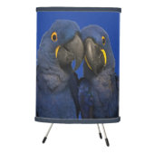 Hyacinth Macaw Parrot Bird Rare Blue Tripod Lamp (Right)