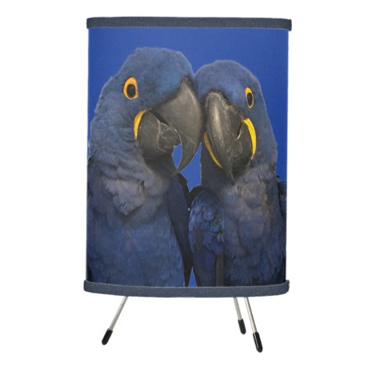 Hyacinth Macaw Parrot Bird Rare Blue Tripod Lamp (Right)