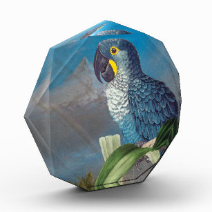 Hyacinth Macaw Parrot Bird Wildlife Acrylic Award