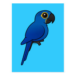 Customizable Hyacinth Macaw Postcard