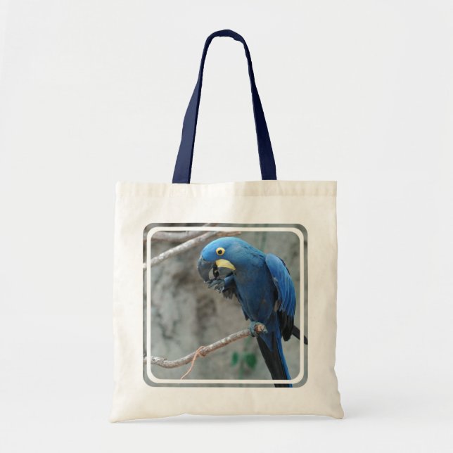 Hyacinth Macaw Small Tote Bag (Front)