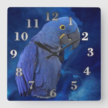 Hyacinth Macaw Square Wall Clock by ErikaKai at Zazzle