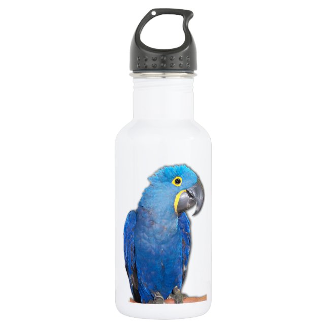 Hyacinth Macaw Stainless Steel Water Bottle (Front)