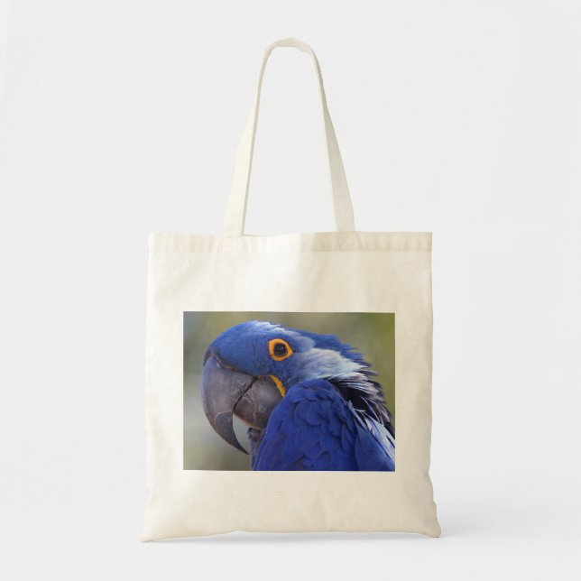 Hyacinth Macaw Tote Bag (Front)
