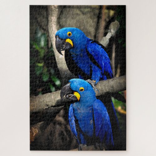 Hyacinth Macaws Anodorhynchus Jigsaw Puzzle