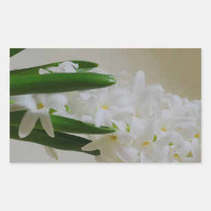Hyacinth Rectangular Sticker