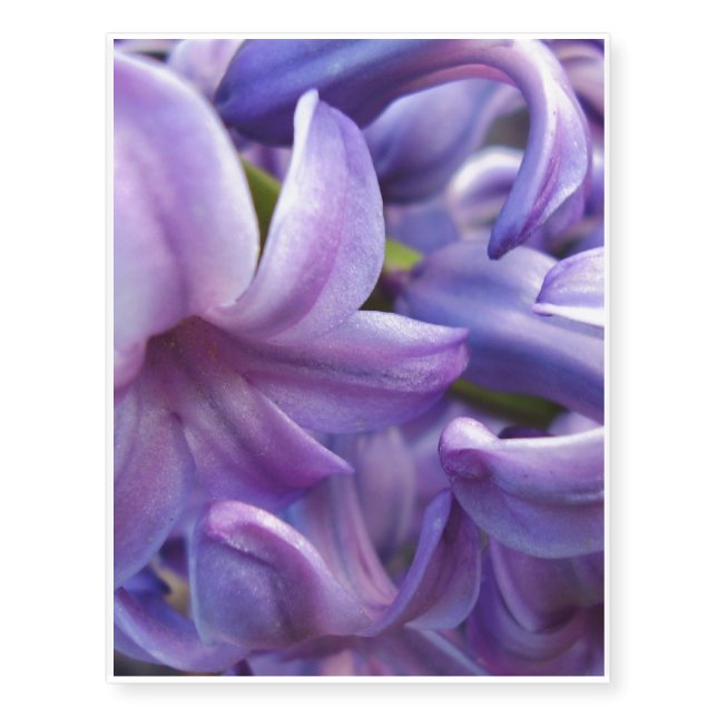 Hyacinth Temporary Tattoos (Front)