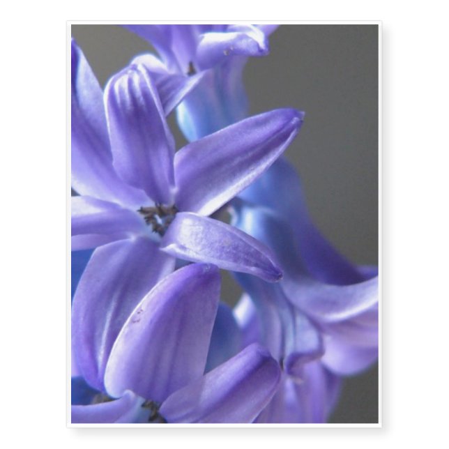 Hyacinth Temporary Tattoos (Front)