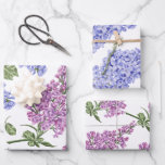 Hyacinth Wrapping Paper Sheets<br><div class="desc">Celebrate any special occasion with this lovely wrapping paper set!</div>