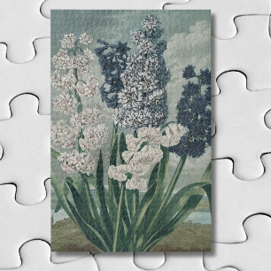 Hyacinths (1807) – Exquisite Vintage Botanical Jigsaw Puzzle
