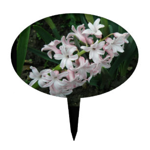 Hyacinths Cake Pick