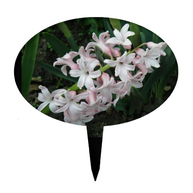 Hyacinths Cake Pick (Front)