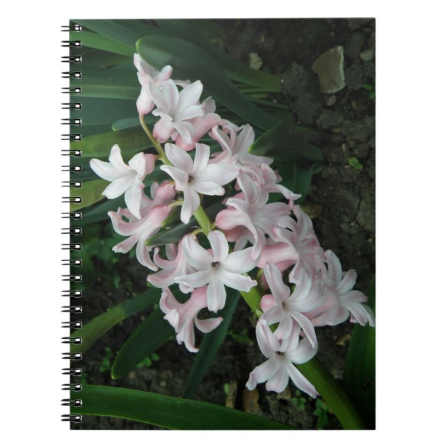 Hyacinths Notebook (Front)
