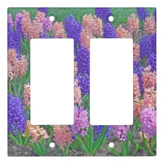 Hyacinths/ Pretty Purple, Pink And Peach-Colored 
